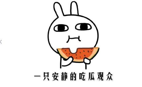 黑瓜吃料热门事件,揭秘网络红人背后的争议与真相