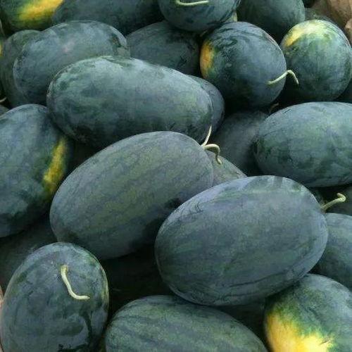 黑料吃瓜入口一二三